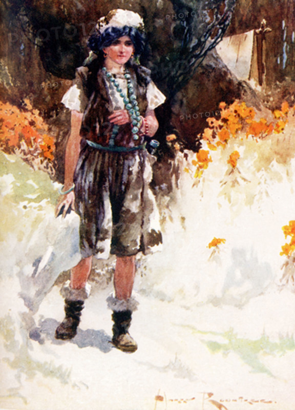 Swiss Family Robinson. The caption reads: ""She had a hat made of downy breast of the cormorant.""  The ""she"" is Emily in the novel. The Swiss Family Robinson (German: Der Schweizerische Robinson) is a novel by Johann David Wyss, first published in 1812, about a Swiss family of immigrants whose ship en route to Port Jackson, Australia, goes off course and is shipwrecked in the East Indies.