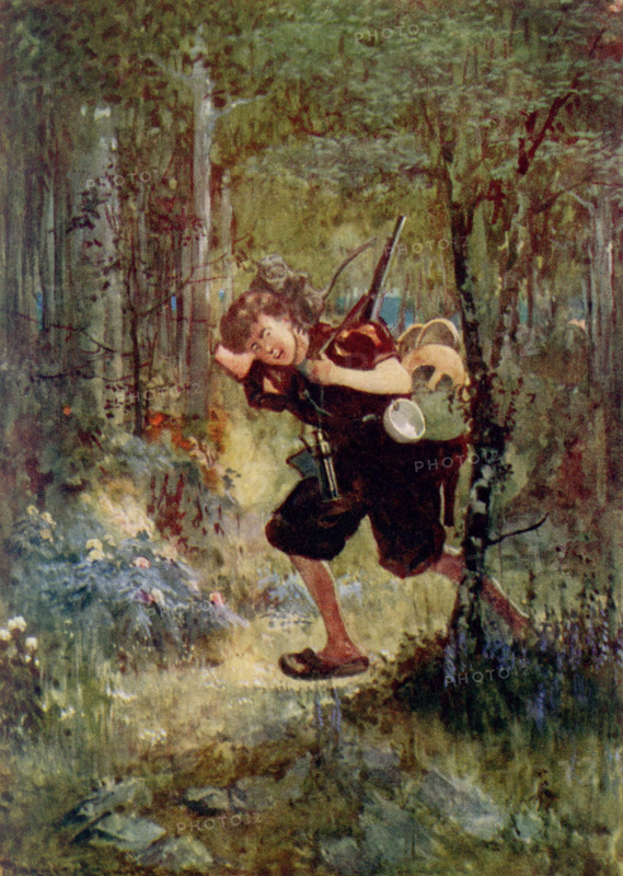 The caption for this images reads: It fastened its feet in his curly hair [the ""it"" refers to a monkey}.The Swiss Family Robinson (German: Der Schweizerische Robinson) is a novel by Johann David Wyss, first published in 1812, about a Swiss family of immigrants whose ship en route to Port Jackson, Australia, goes off course and is shipwrecked in the East Indies.