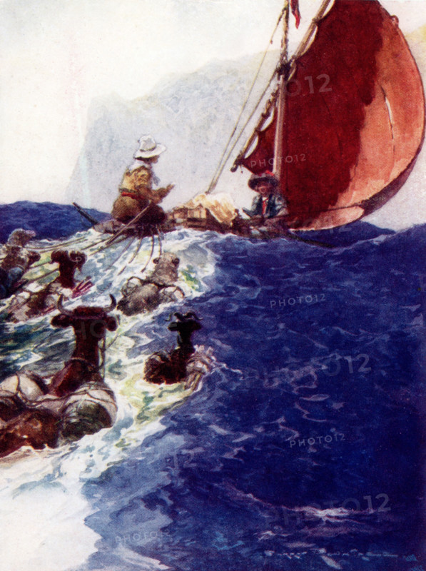 Swiss Family Robinson. The caption reads: ""He laughed heartily at queer spectacle we must present.""  The ""queer spectacle"" in the novel is bringing animals, including a donkey and cows, ashore by pulling and guiding with a sailboat. The Swiss Family Robinson (German: Der Schweizerische Robinson) is a novel by Johann David Wyss, first published in 1812, about a Swiss family of immigrants whose ship en route to Port Jackson, Australia, goes off course and is shipwrecked in the East Indies.