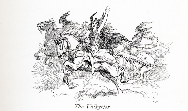 According to Norse mythology, the Valkyries(also called Valkyrjor)  were the daughters or attendants of Odin, the chief god (also called Wotan). The Norse believed the Valkyries came to battlefield, chose those who would die, and carried them back to Valhalla (a fallen warrior can be seen here in front of a Valkyrie). Their leader was Brynhild (also spelled Brunhild, Brunhilde, Brynhildr). This illustration dates to 1913.
