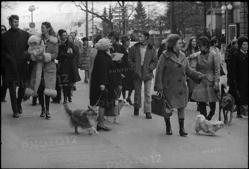 Dog owner demonstrate against new law and higher dog licence fee.