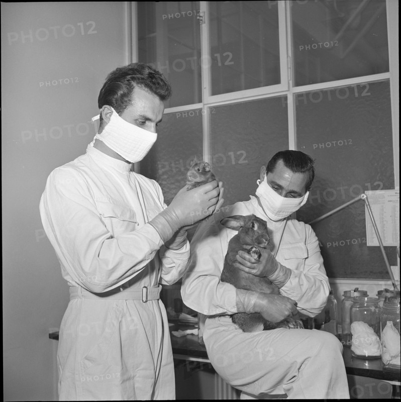 Pharma developper team with animals, Basel 1952.
