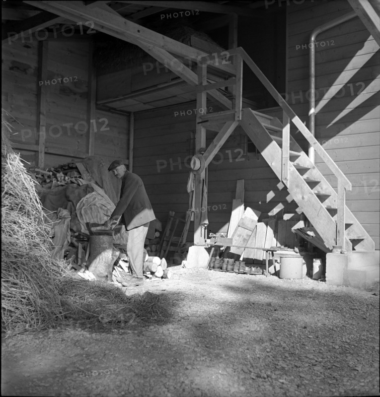 Laupen: man sawing wood beside residential building for working-class familiy; 1939.