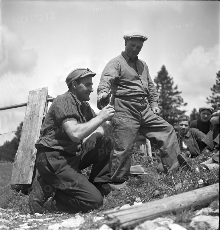 Drink at the alp Ravette, Doubs 1952.