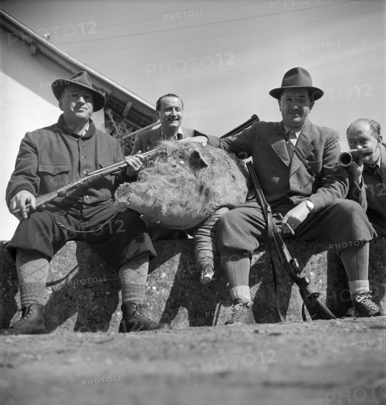 Hunting wild boars in Elgg, 1950.