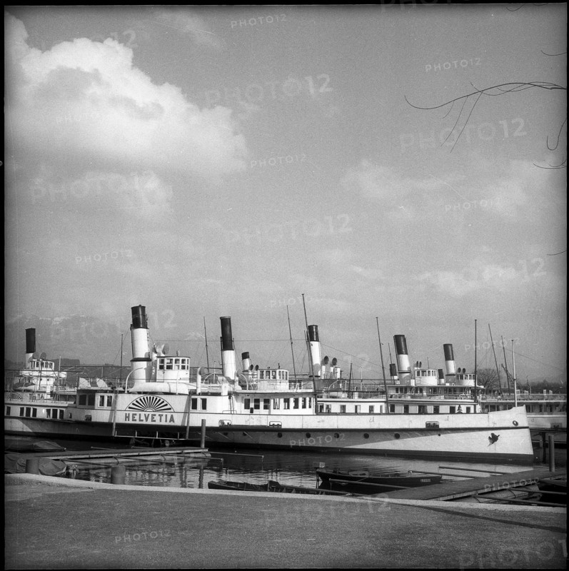 Steamers, Lucerne 1953.