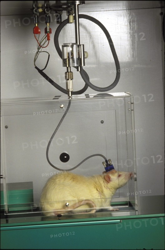 Laboratory Council, 1987