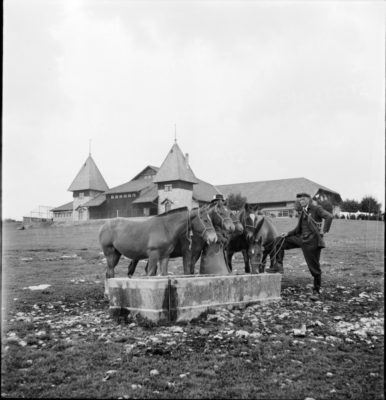 42nd Marche-Concours Saignelegier, horse watering place, 1945.