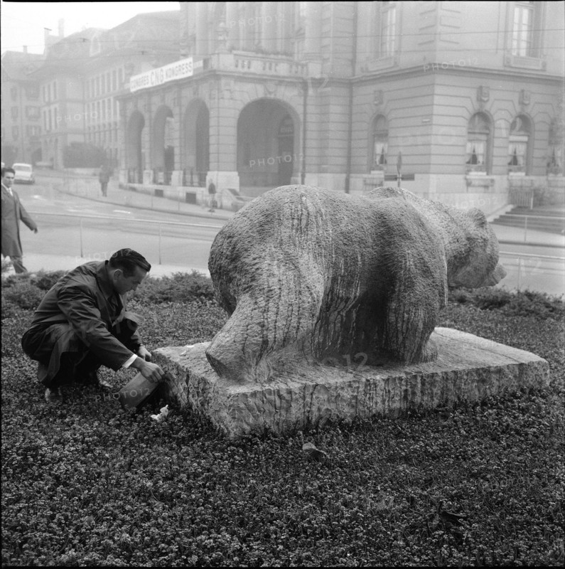 Bernese bear besmeared with color, 1965.