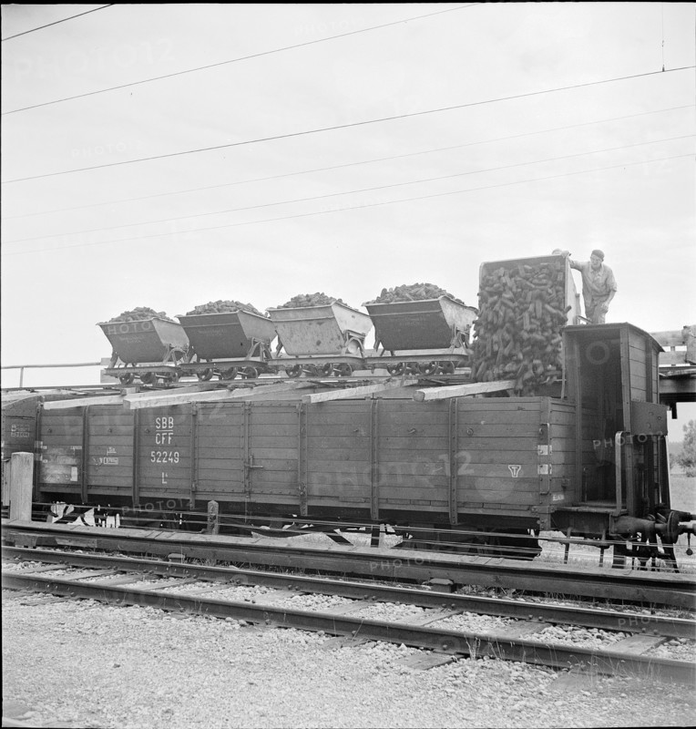 Peat extraction near Ins 1942.