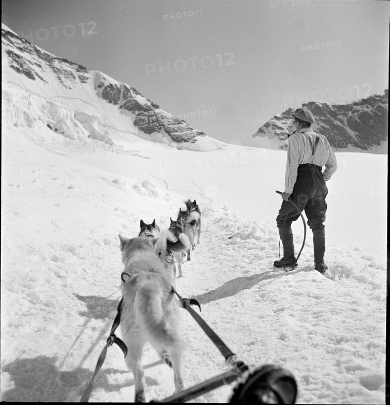 Jungfraujoch 1942: man with sledge dogs.
