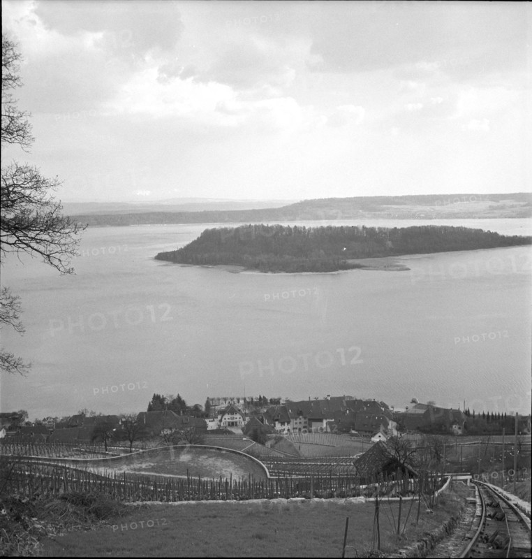 Ligerz, Lake Bienne, St. Peter's Island; 1949.