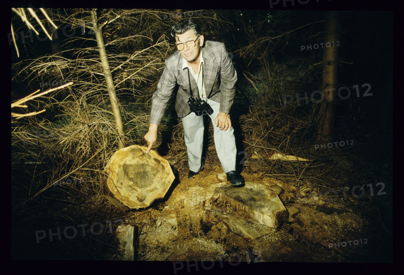 Dying of trees: Josef Meier shows a sick fir 1983.