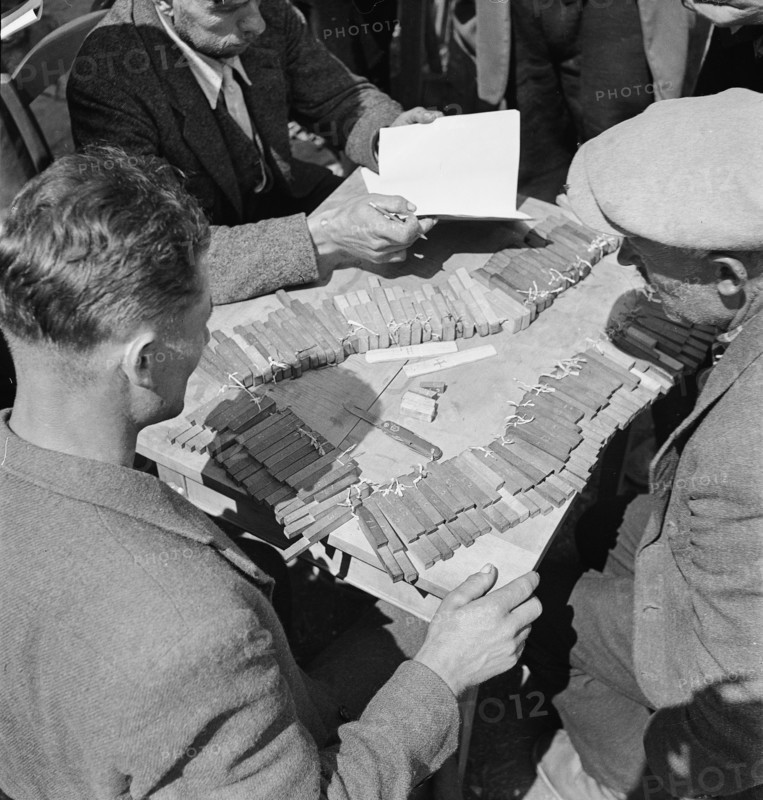 Distribution of the mountain pastures in the Loetschental, 1941.