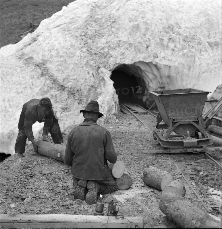Valais, Miners; mine car; tree trunk; Goltschried coal mine; 1941.