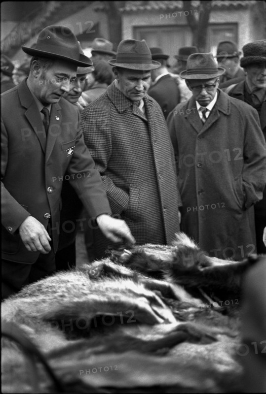 Fur market in Lucerne 1971.