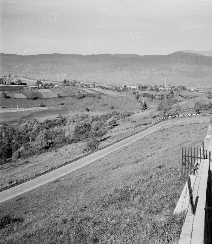 Landscape and road near Dardagny; 1952.