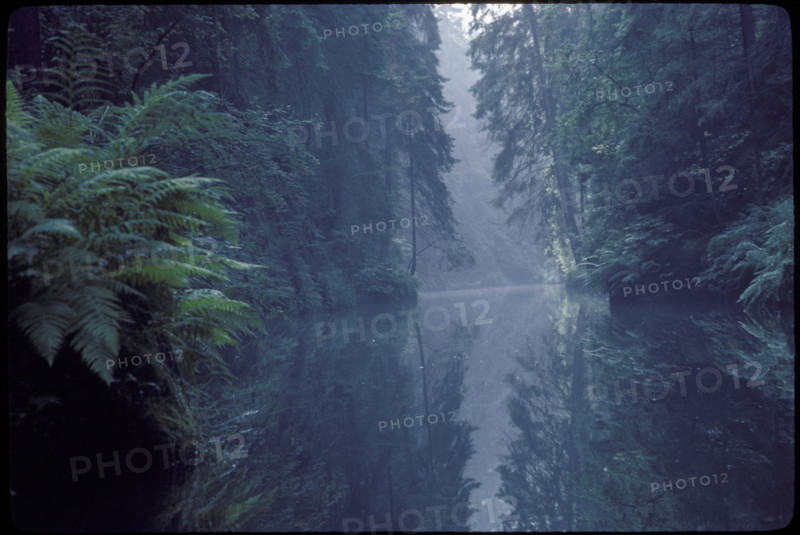 Untouched river 1982.
