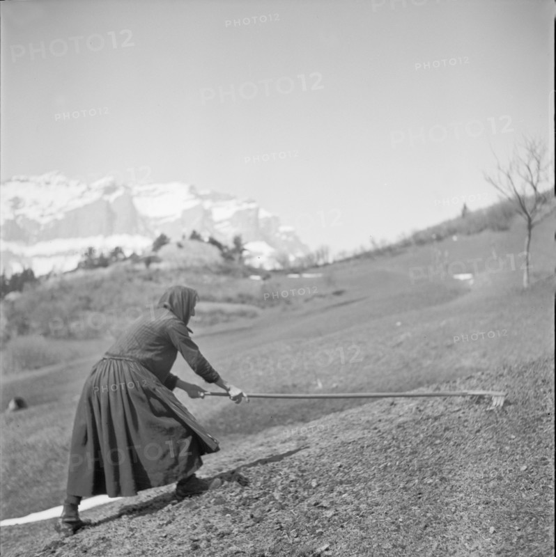 Albinen, woman working in the field; 1941