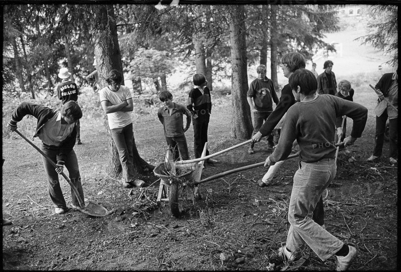 Young people clearing a forest track, 1971
