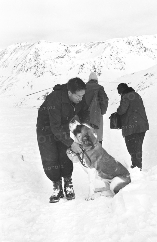 Hospice on the Great St. Bernard 1968