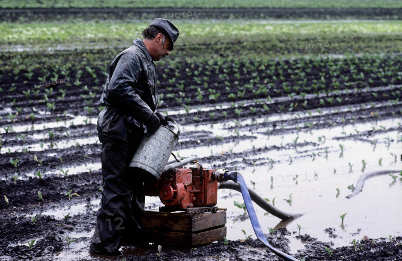 flood area, field under water in Zealand, 1983