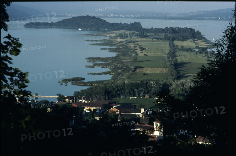 Overview of St. Peter Island, 1981