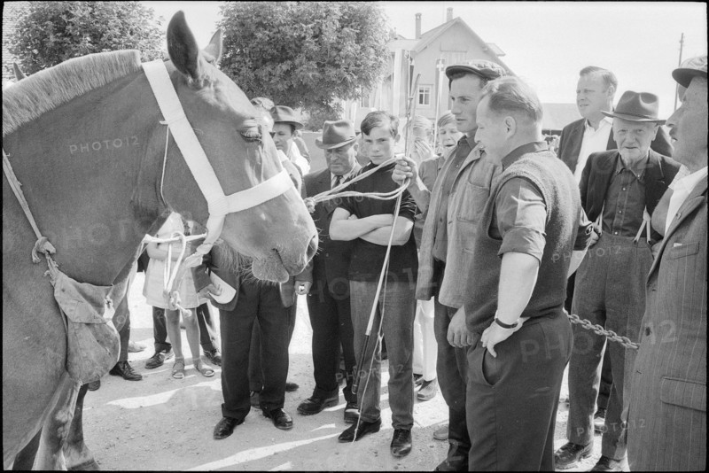 62nd Marché Concours Saignelégier, 1965