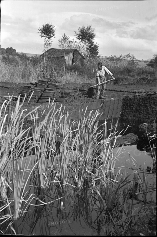 Cutting peat for briquettes; 1940