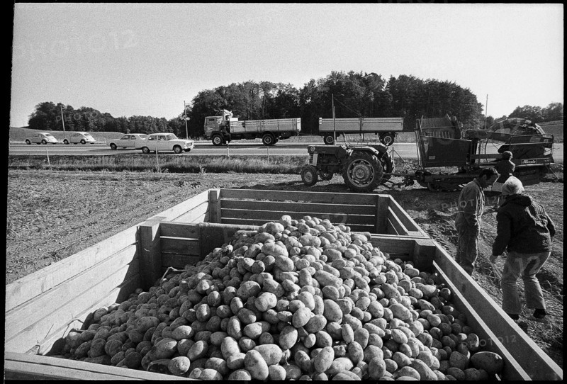 Motorway next to potato harvest, 1972