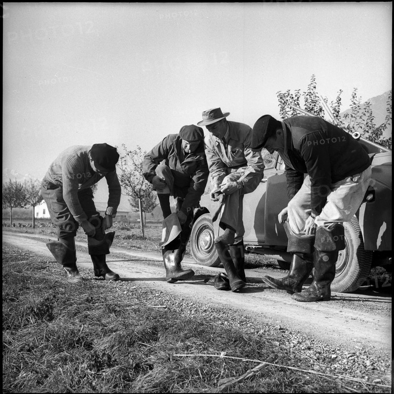 Electric fishing in Valais, rubber boots for isolation, 1956