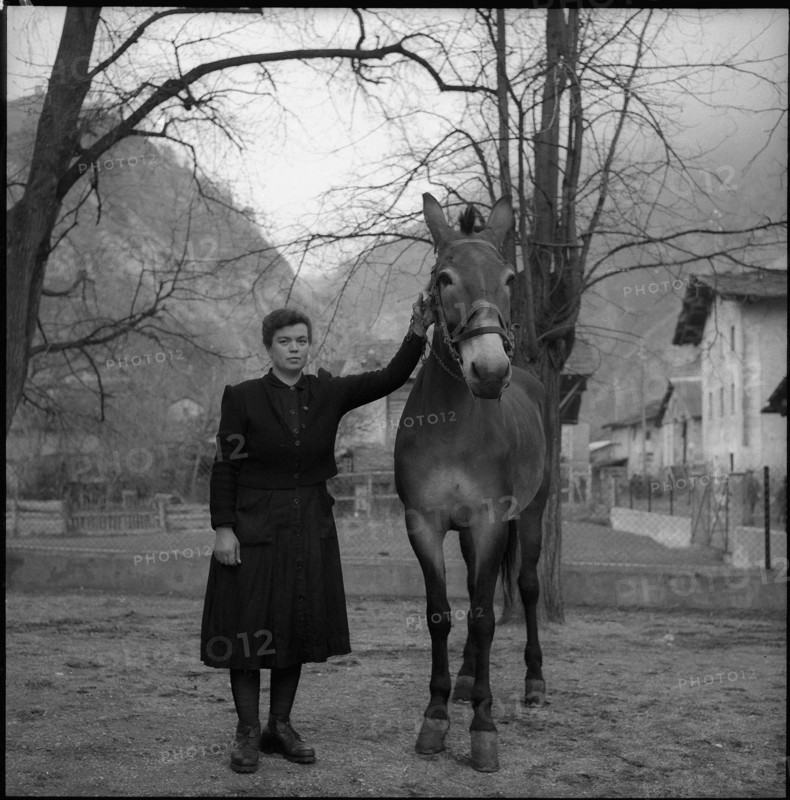 Farmer's wife and mule in Turtmann, 1956