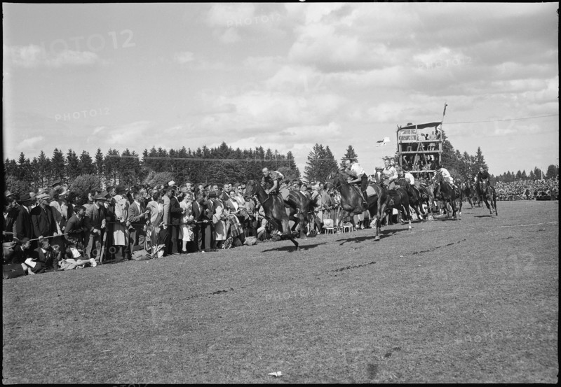49th Marché Concours Saignelégier, 1952