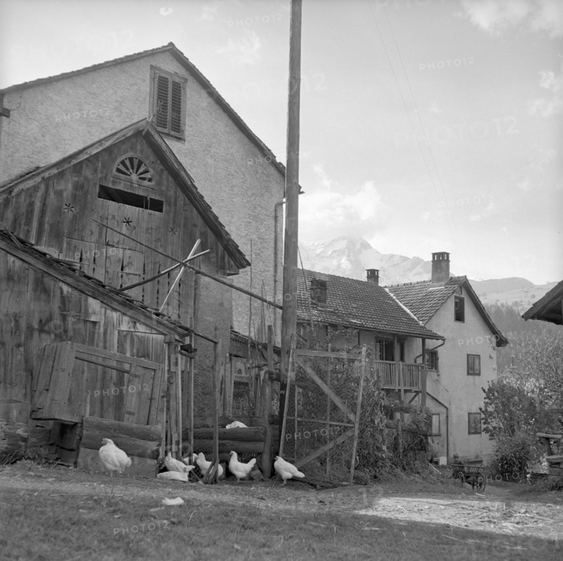 Houses in Sils-Albula, 1952