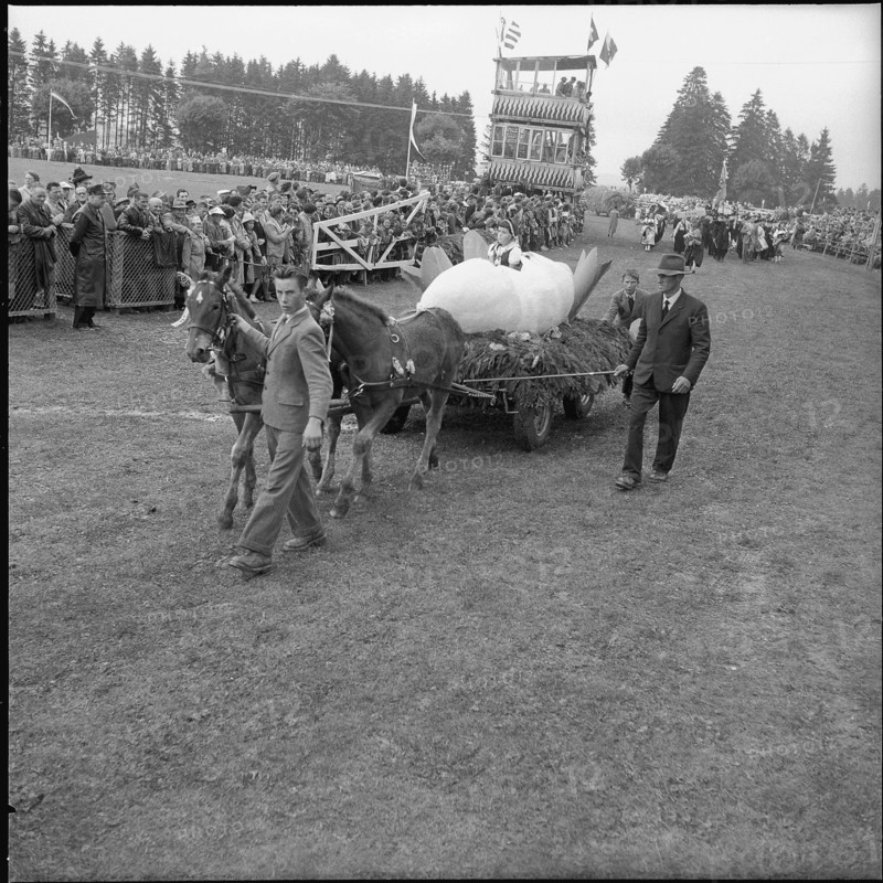52nd Marché-Concours Saignelégier, parade, 1955