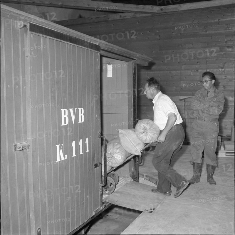 Workers loading sacks in the Bex salt mine; 1959