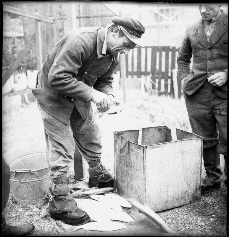Fish brood institute of the canton Neuchâtel near Colombier 1948