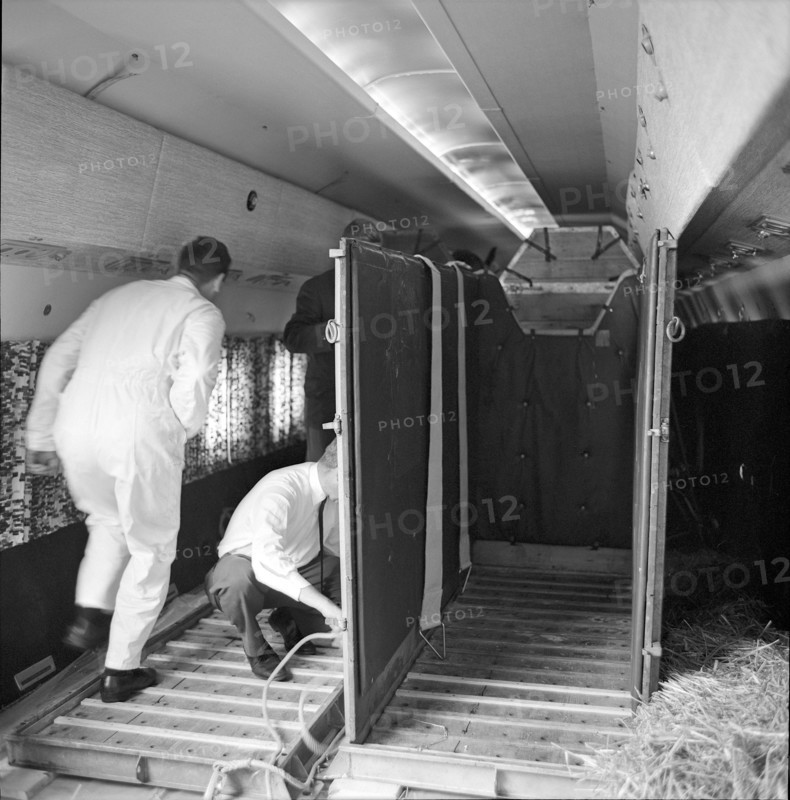 Olympic Games Tokyo 1964: departure of Swiss riding team, Zurich-Kloten airport