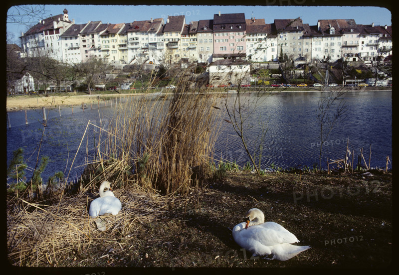 Wil (SG) and city pond 1984