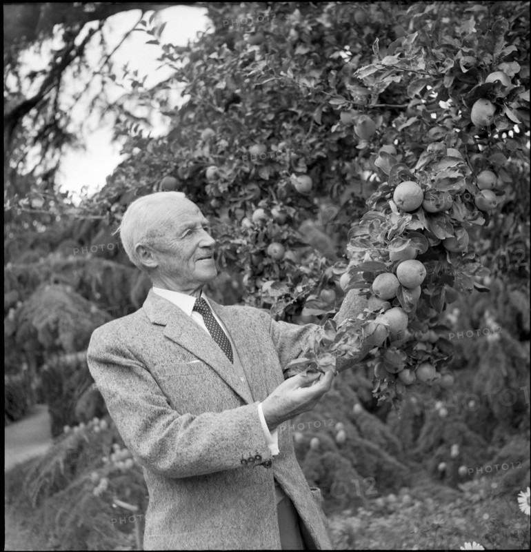 General Guisan in his garden, 1954