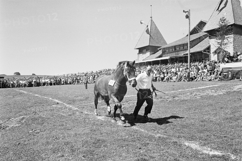 60th Marché Concours Saignelégier, 1963