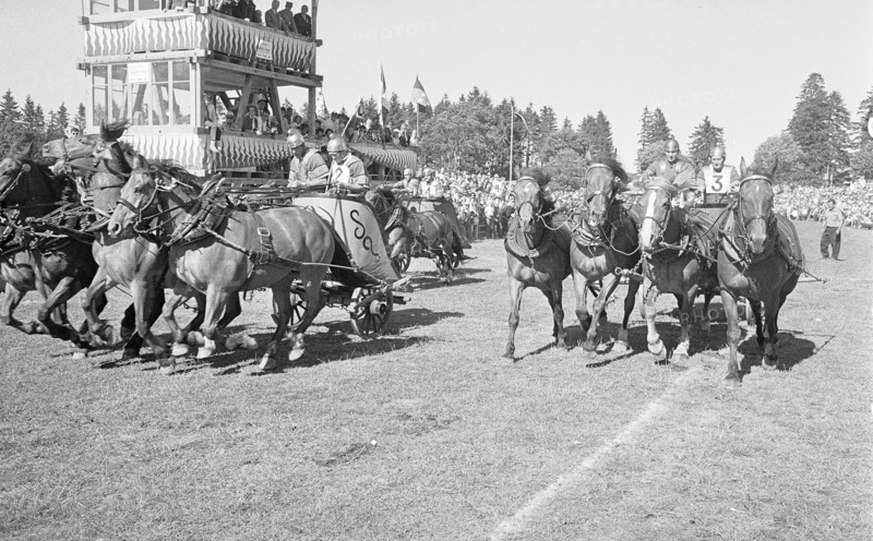 60th Marché-Concours Saignelégier, chariot race, 1963