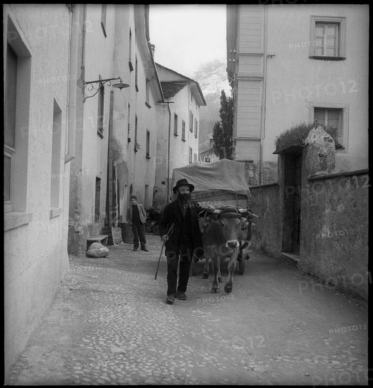 Carriage hauled by an ox in Poschiavo, 1948