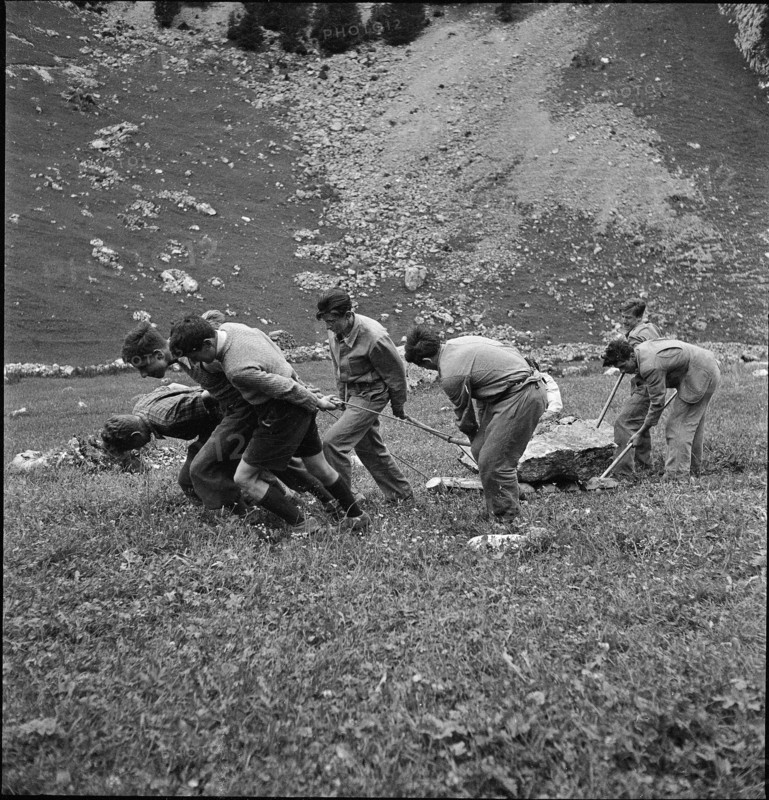 WW 2: farming camp; apprentices clearing a mountain pasture, 1942