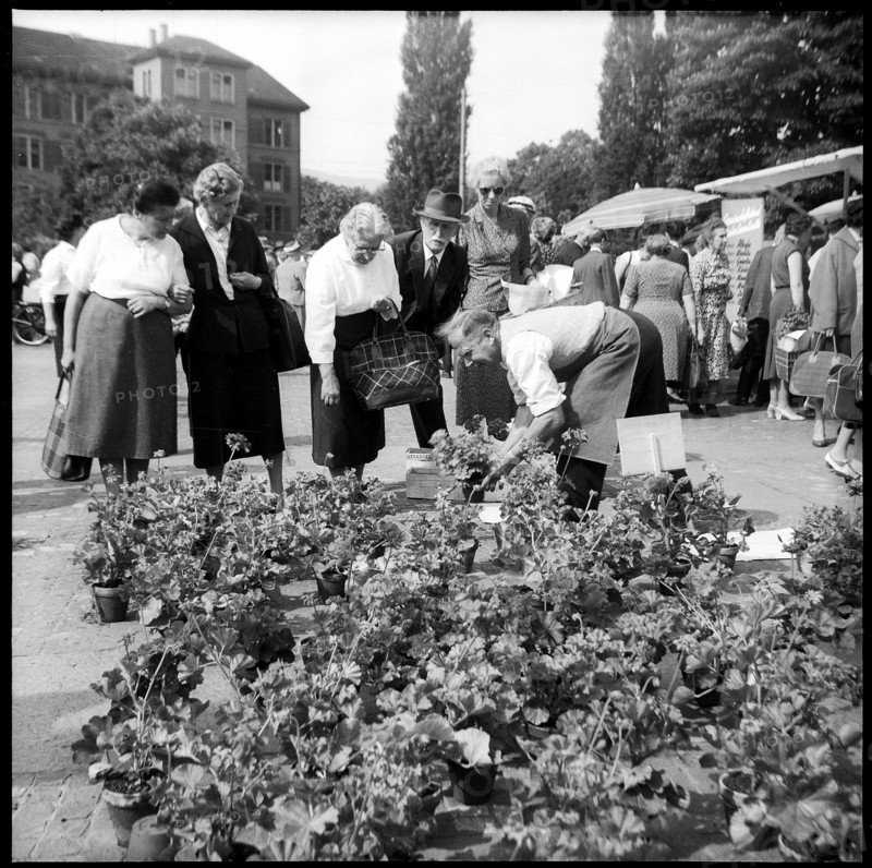 Flower market at Helvetiaplatz in Zurich 1959