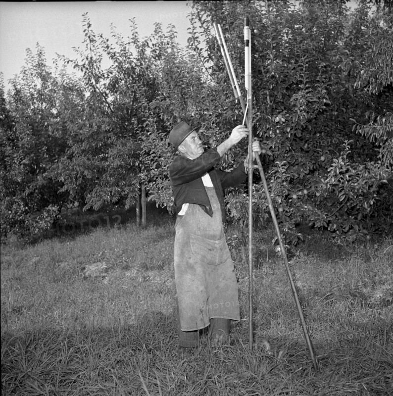 Farmer with hail defense rockets, 1951