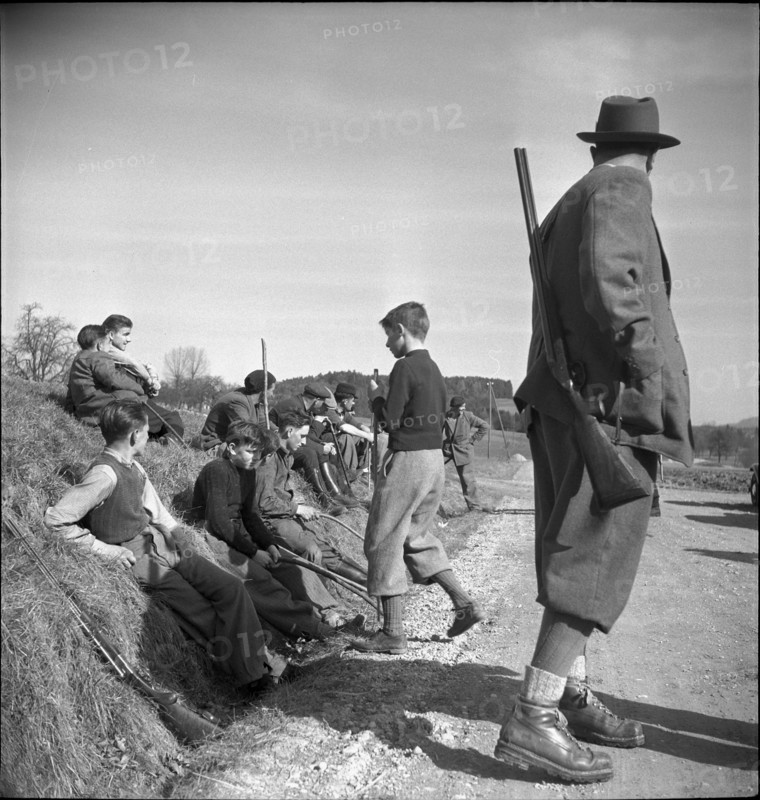 Hunting wild boars in Elgg, 1950