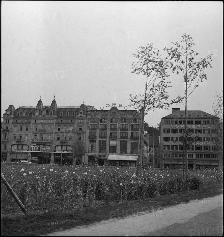 Filed of opium poppy in the city center; 1941