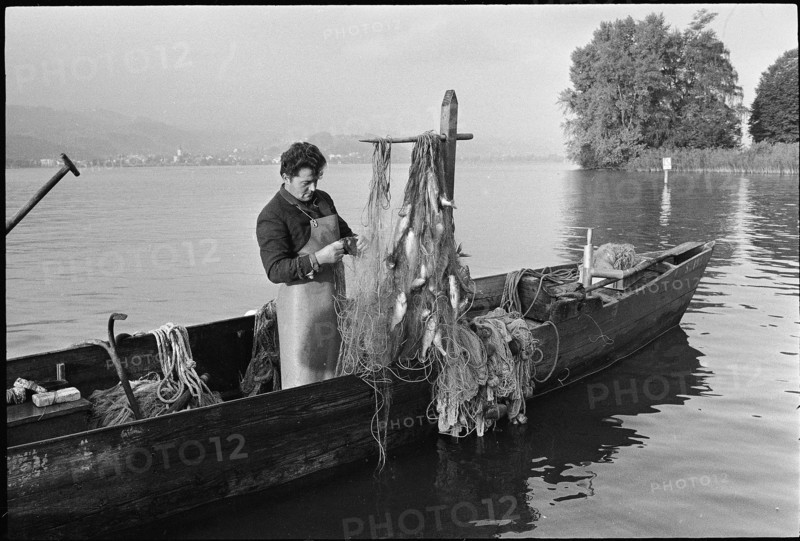 Professional fisherman at work on Lake Zurich 1971