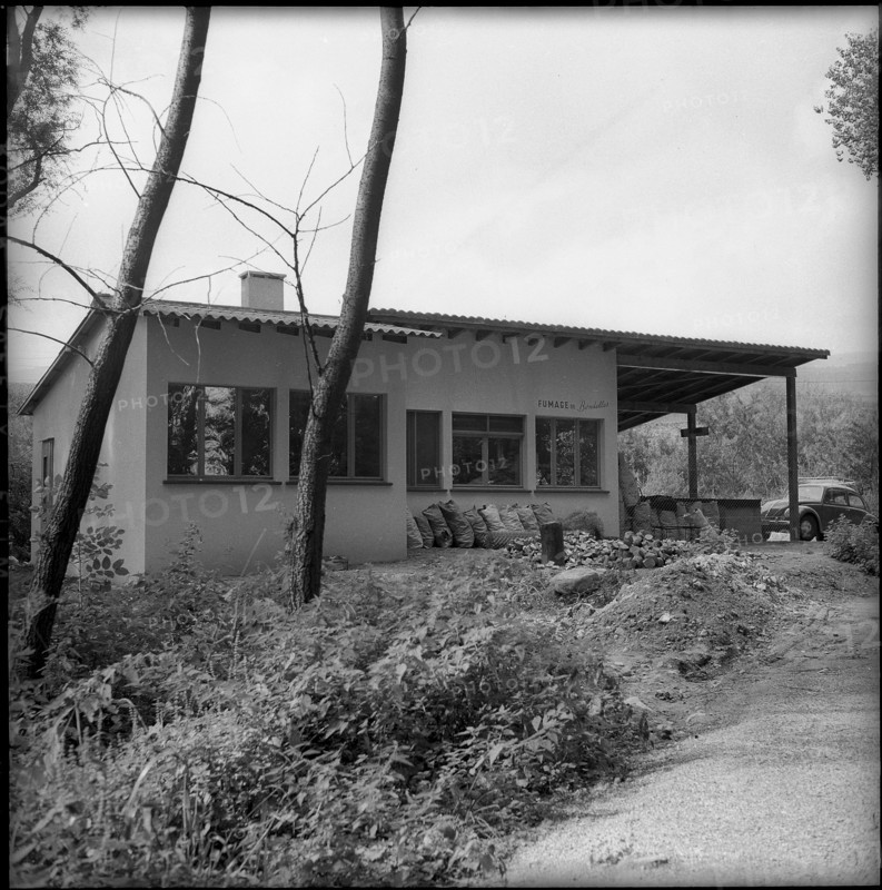 New fish smoking plant in Neuchâtel 1958